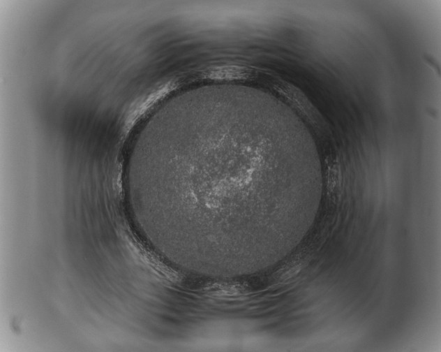 X0000103220727200809041002