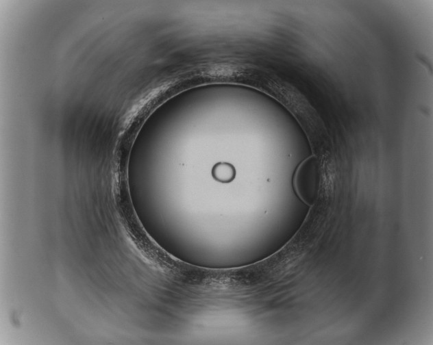 X0000103220728200809041002