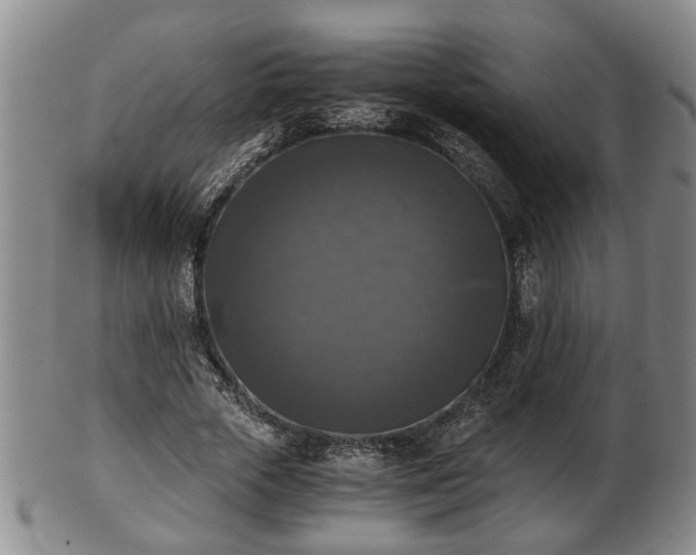 X0000103220729200809041002