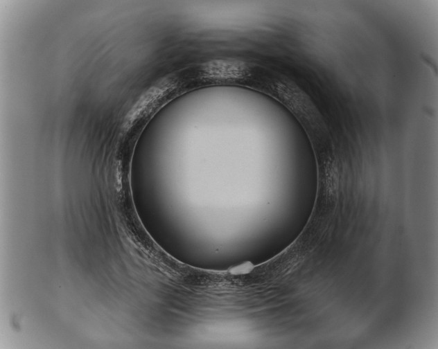 X0000103220731200809041002