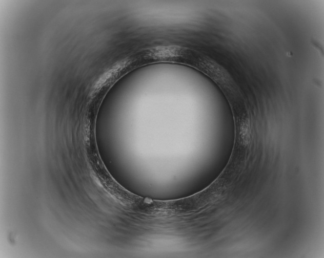 X0000103220732200809041002