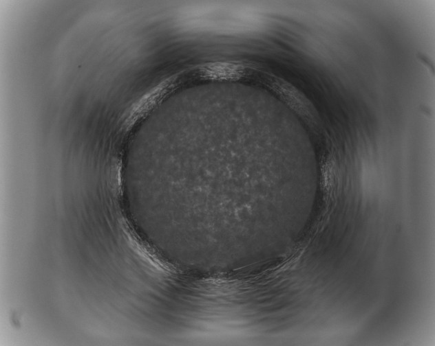 X0000103220733200809041002