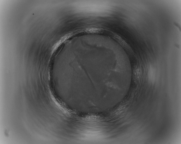 X0000103220734200809041002