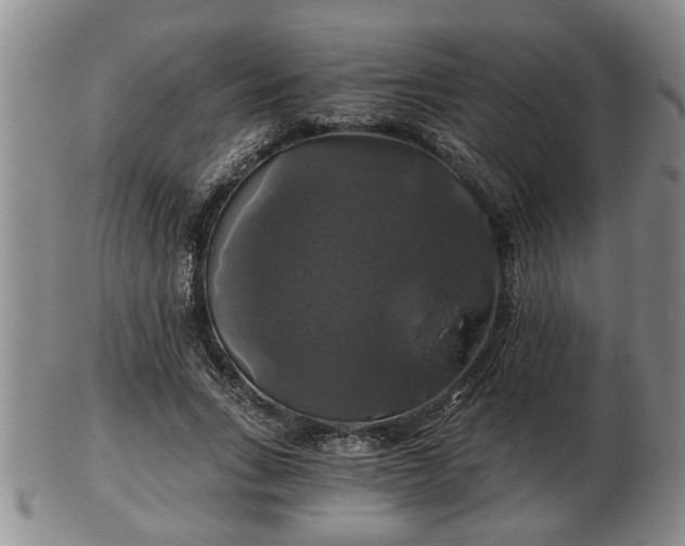 X0000103220735200809041002