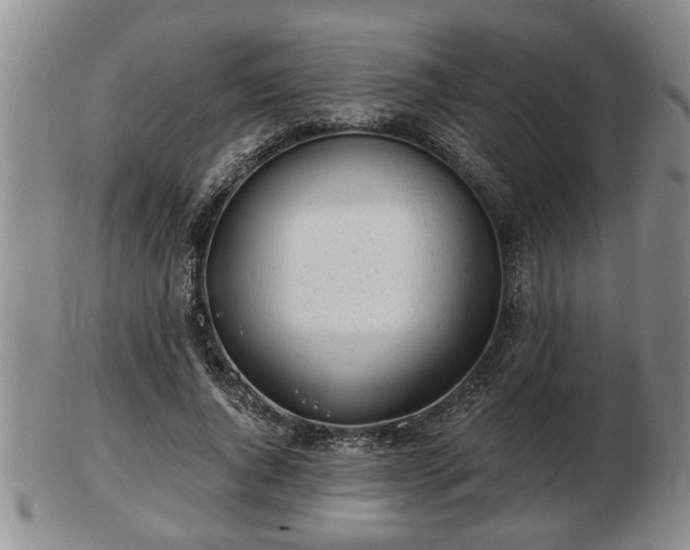 X0000103220736200809041002