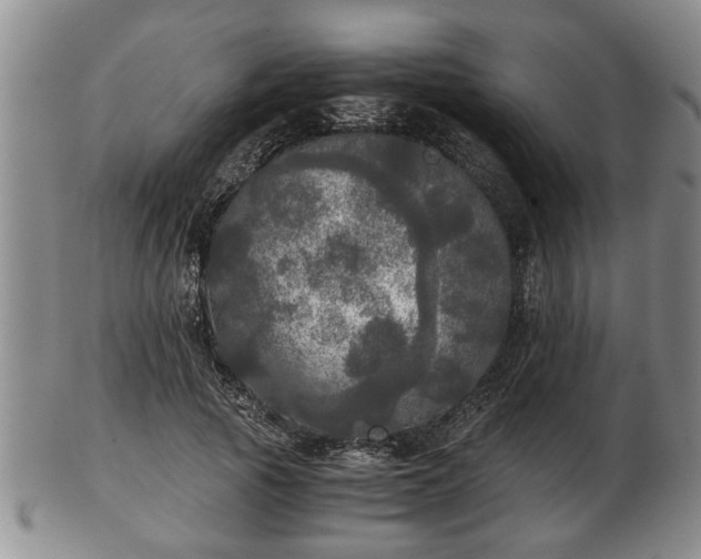 X0000103220737200809041002