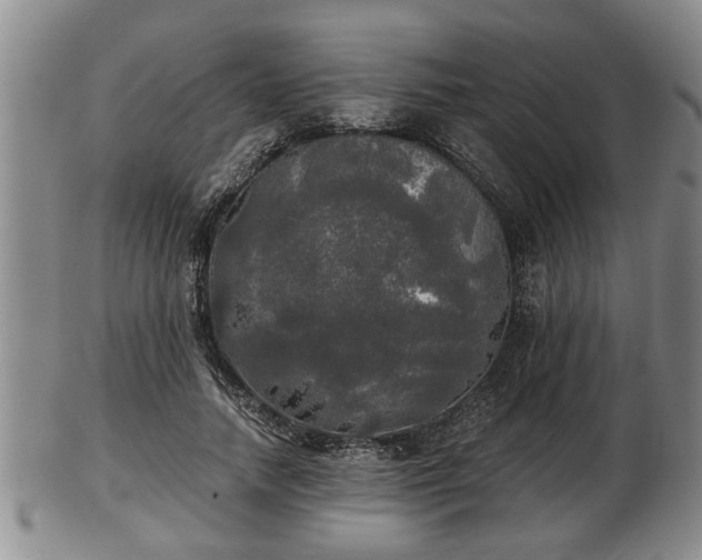 X0000103220738200809041002