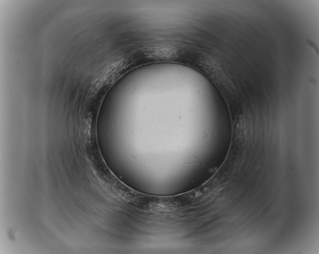 X0000103220739200809041002