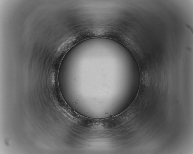 X0000103220740200809041002