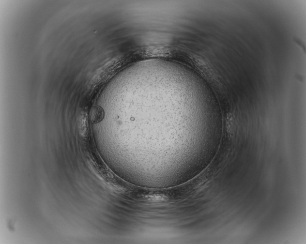 X0000103220741200809041002