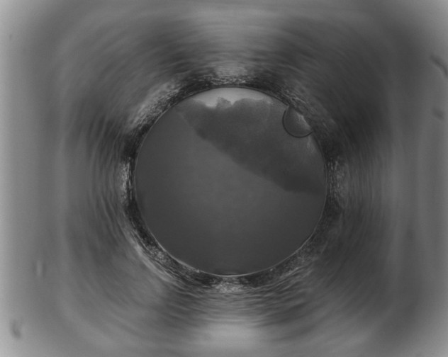 X0000103220742200809041002