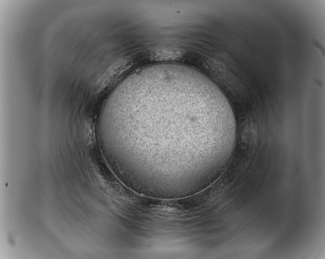 X0000103220743200809041002