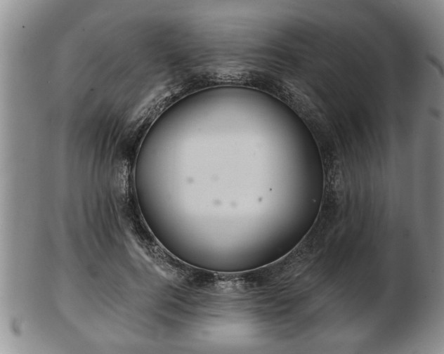 X0000103220744200809041002