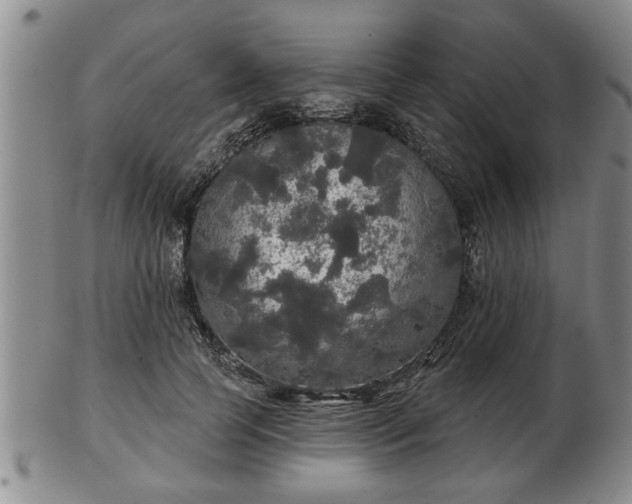 X0000103220745200809041002