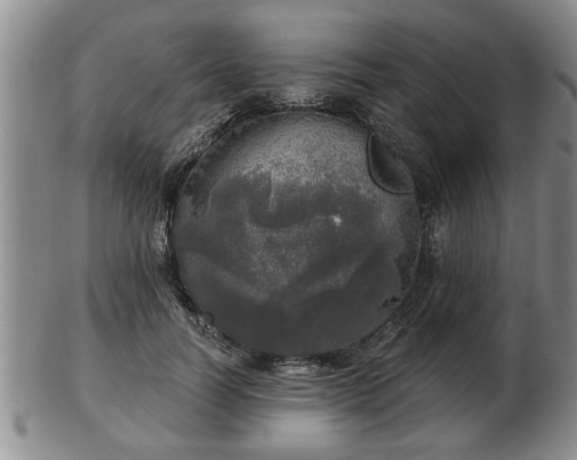 X0000103220746200809041002