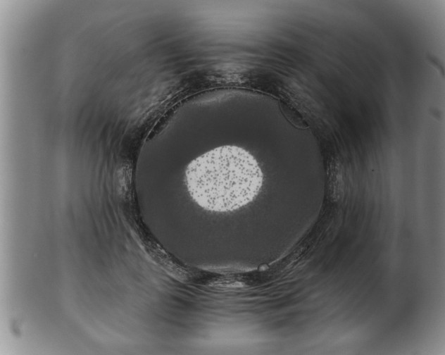 X0000103220747200809041002