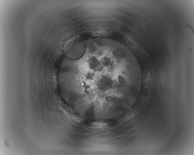 X0000103220749200809041002