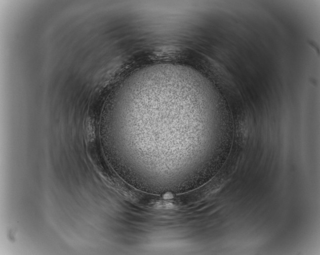 X0000103220751200809041002