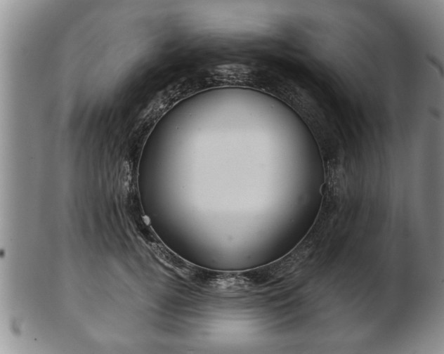 X0000103220752200809041002