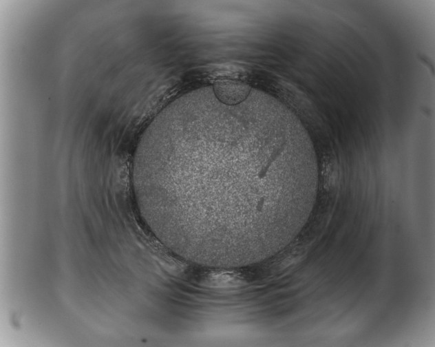 X0000103220753200809041002