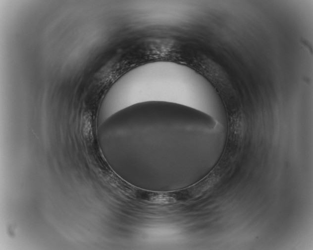 X0000103220754200809041002