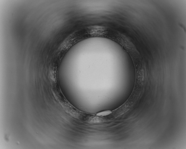 X0000103220755200809041002