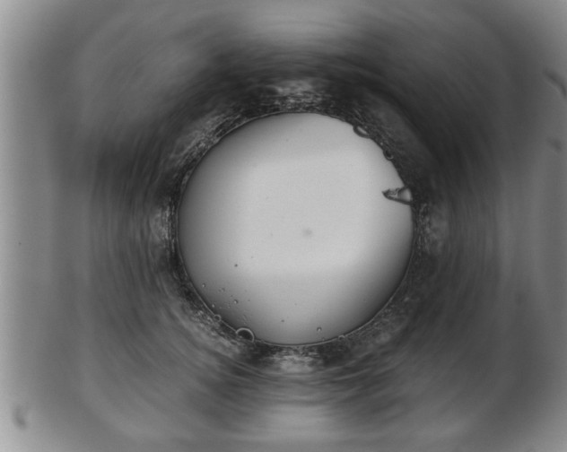 X0000103220756200809041002