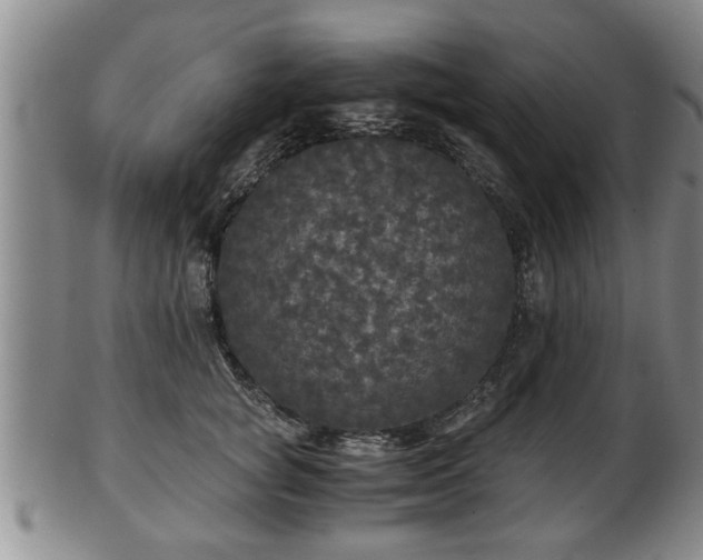 X0000103220757200809041002