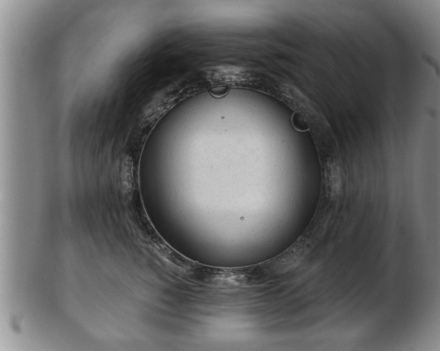 X0000103220760200809041002