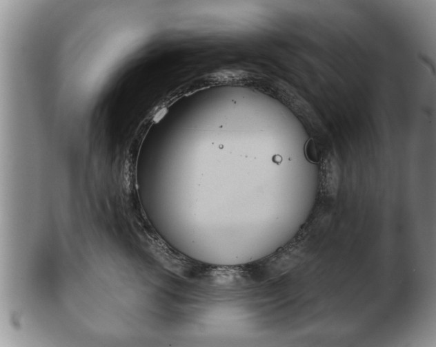 X0000103220762200809041002