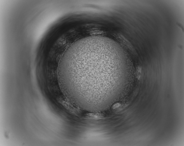 X0000103220763200809041002