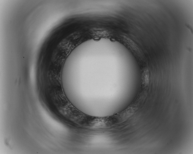 X0000103220764200809041002