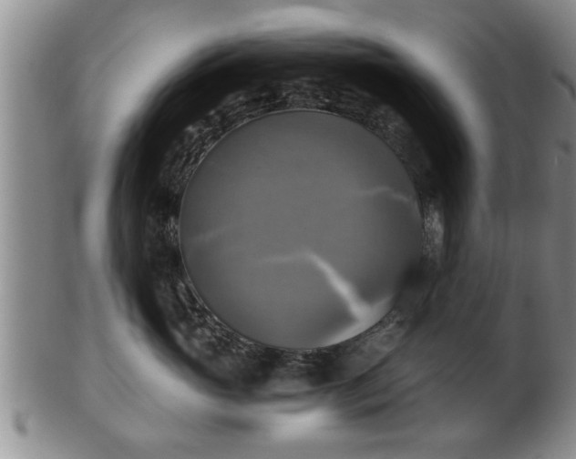 X0000103220765200809041002