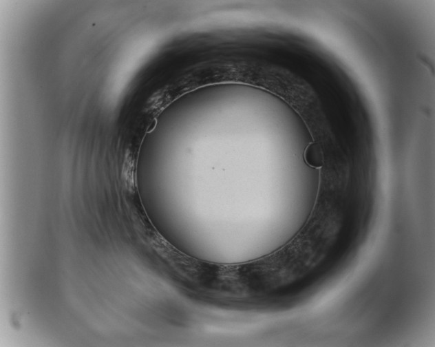 X0000103220766200809041002