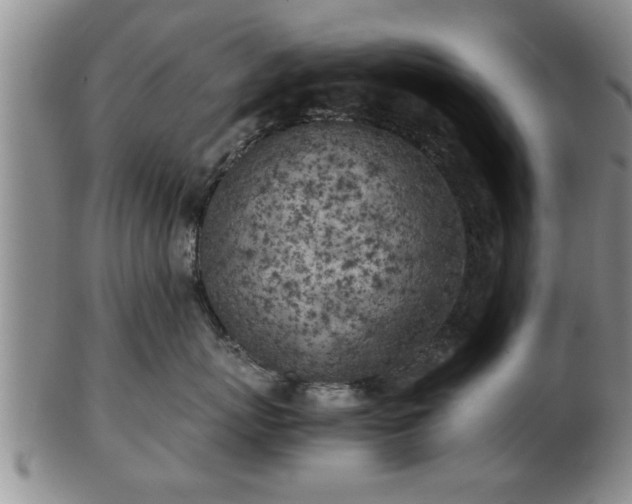 X0000103220767200809041002