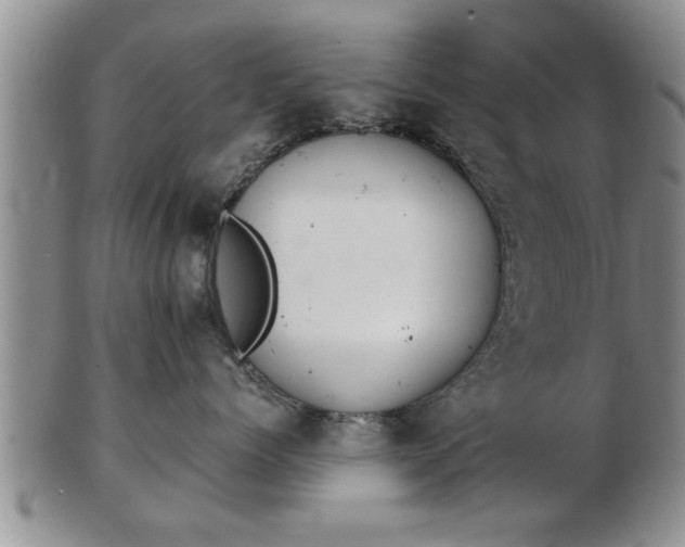 X0000103220768200809041002