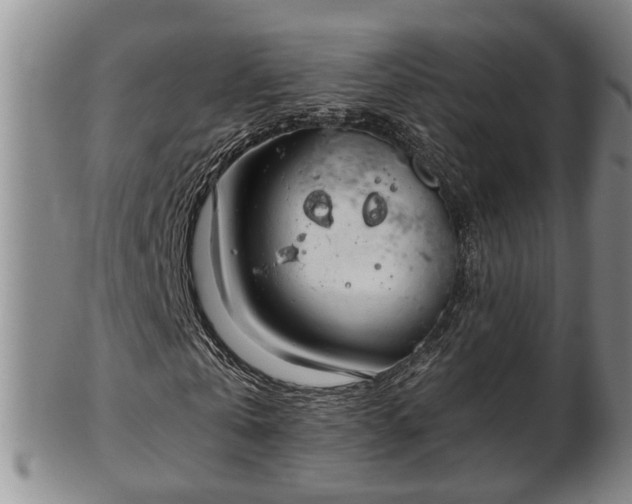 X0000103220769200809041002