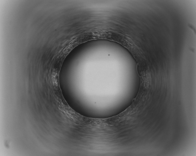 X0000103220770200809041002