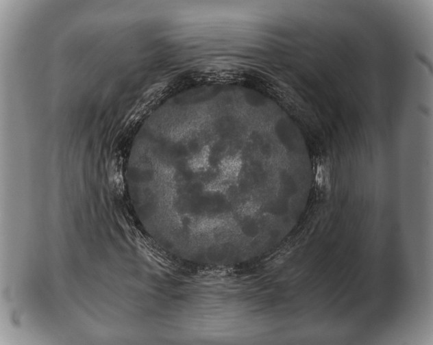 X0000103220771200809041002