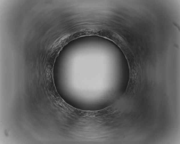 X0000103220773200809041002