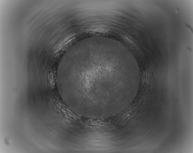 X0000103220774200809041002