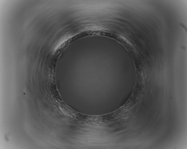 X0000103220775200809041002