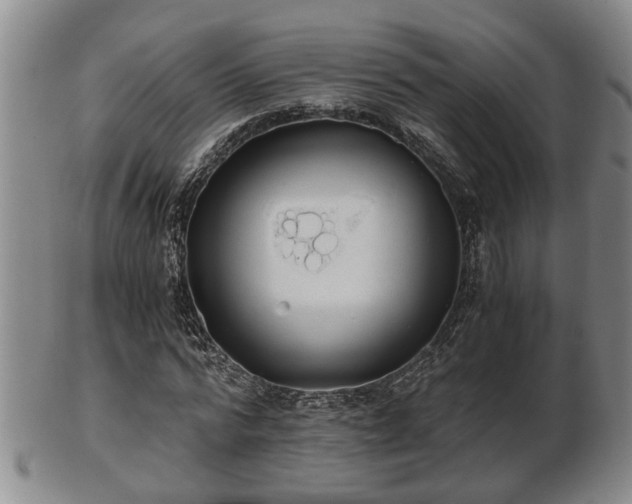 X0000103220776200809041002