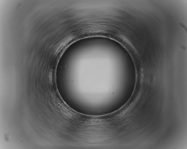 X0000103220777200809041002