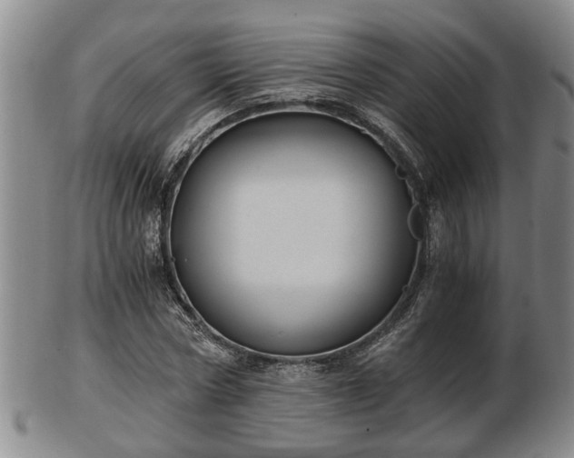 X0000103220778200809041002