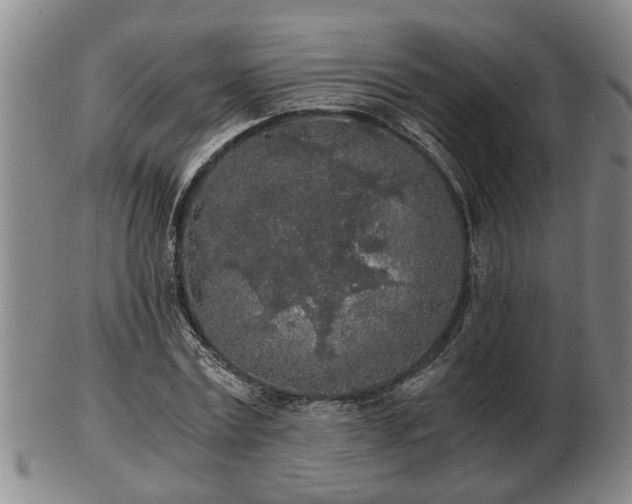 X0000103220779200809041002