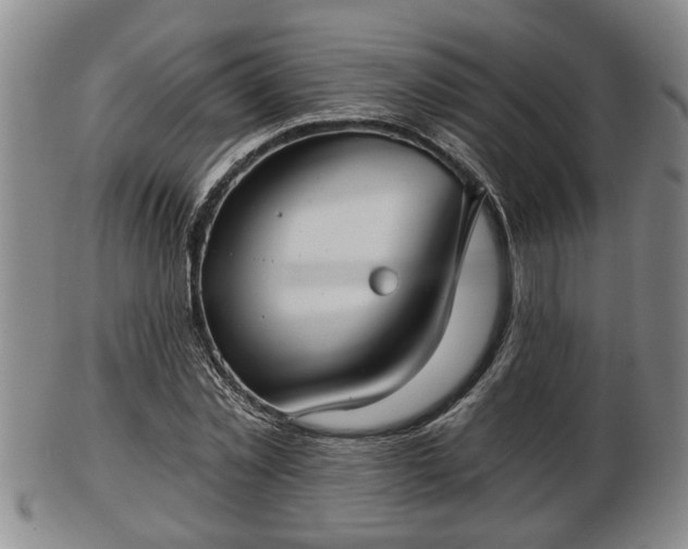 X0000103220781200809041002