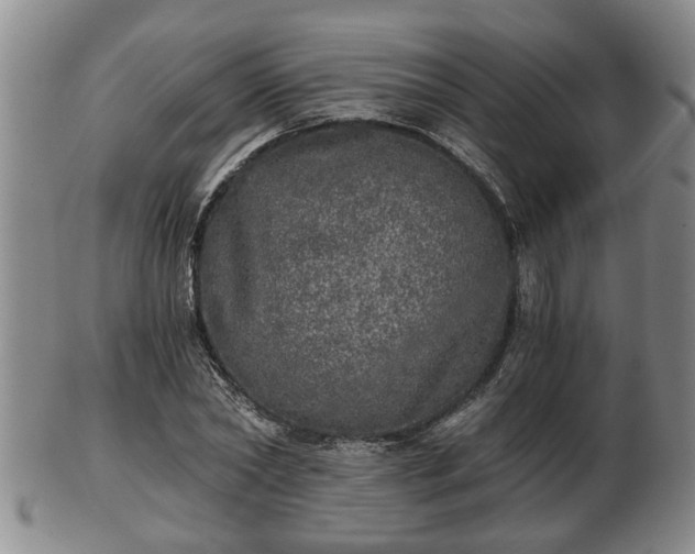 X0000103220782200809041002