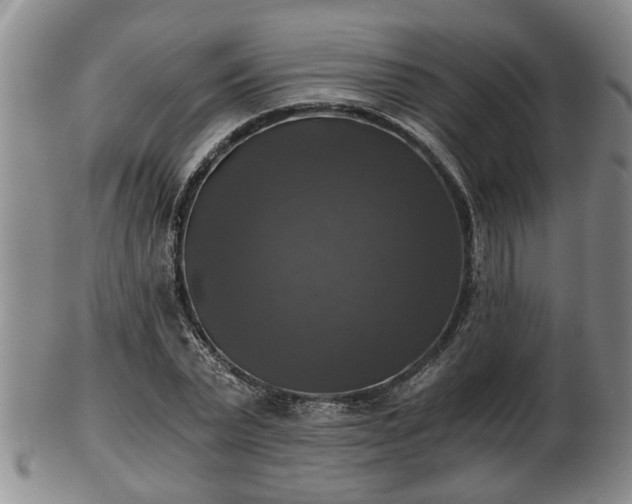 X0000103220783200809041002