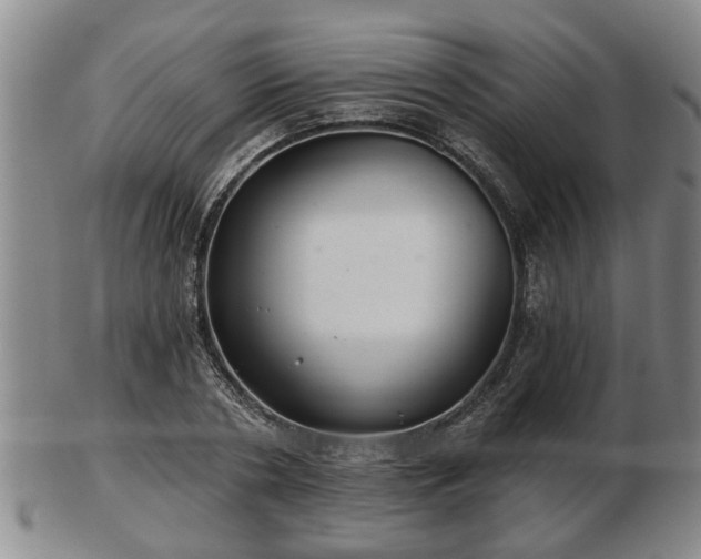 X0000103220786200809041002